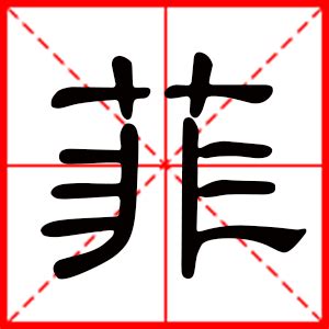 菲的意思名字|带菲字的女孩名字寓意